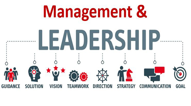 IT Leadership & Management